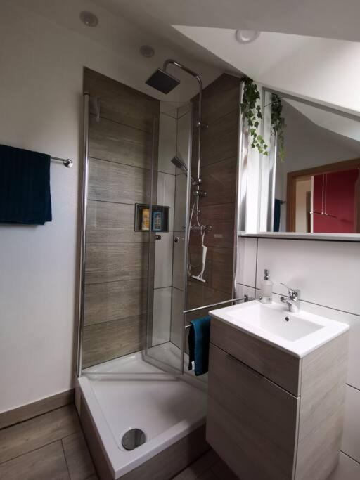 Studio Und Apartment Auf Dem Pferdehof Burgpreppach Dış mekan fotoğraf