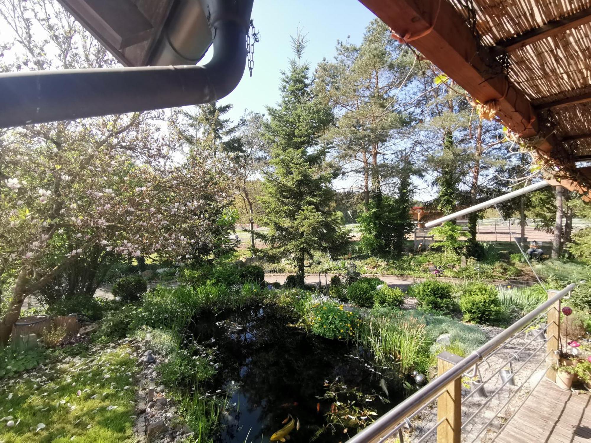 Studio Und Apartment Auf Dem Pferdehof Burgpreppach Dış mekan fotoğraf