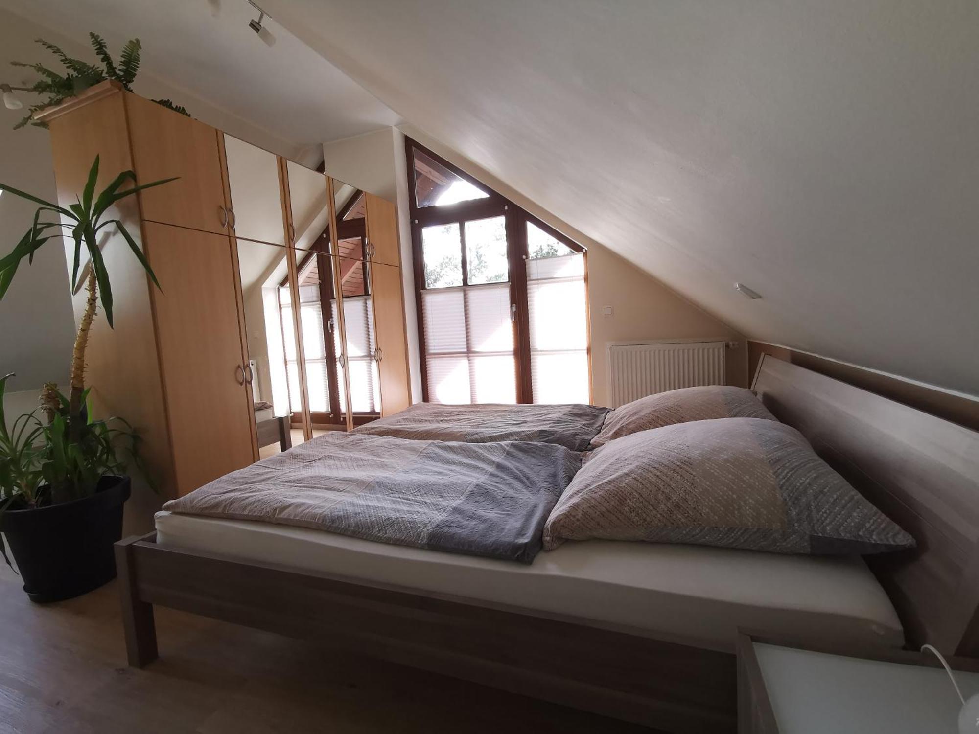 Studio Und Apartment Auf Dem Pferdehof Burgpreppach Dış mekan fotoğraf
