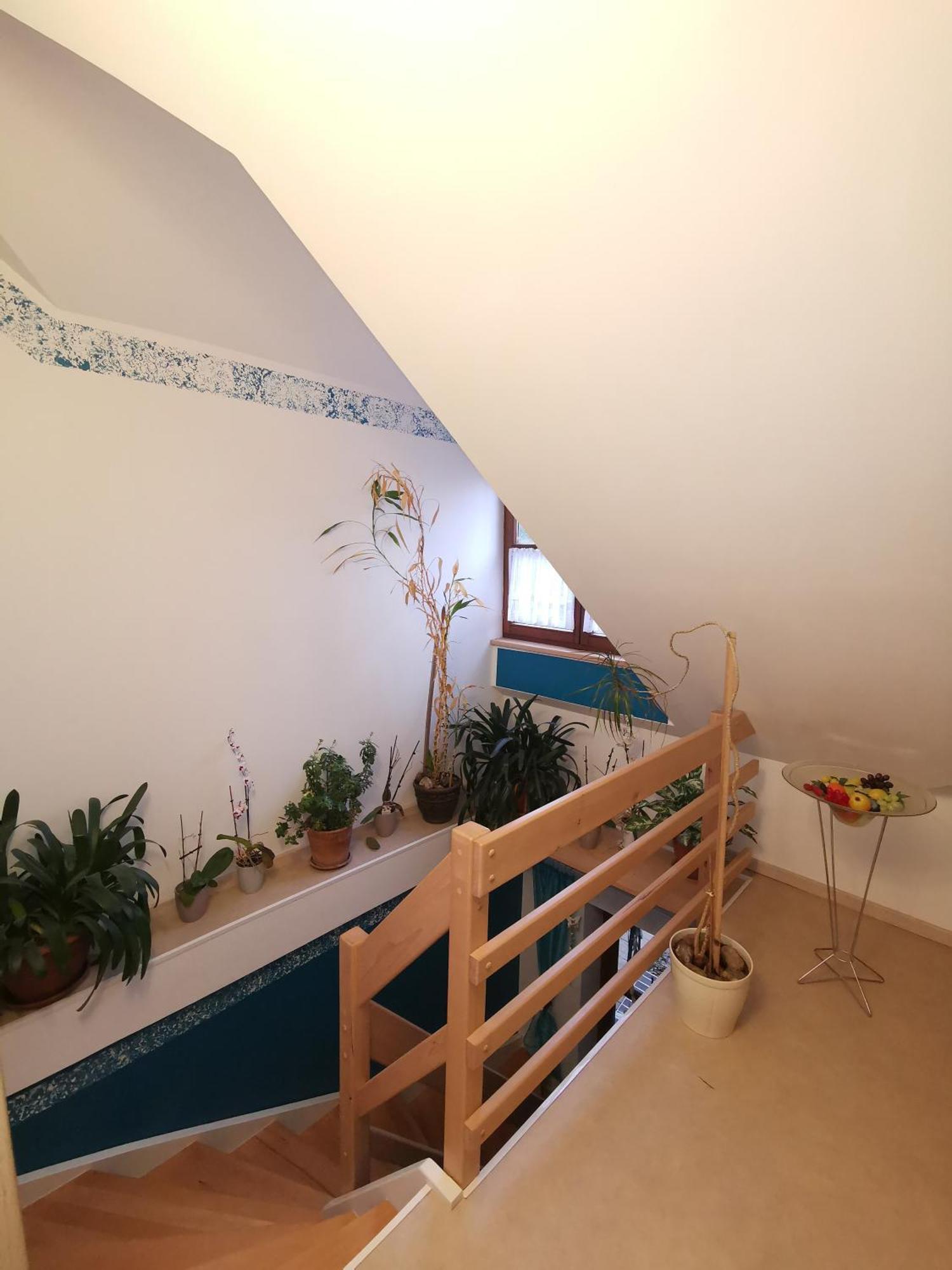 Studio Und Apartment Auf Dem Pferdehof Burgpreppach Dış mekan fotoğraf
